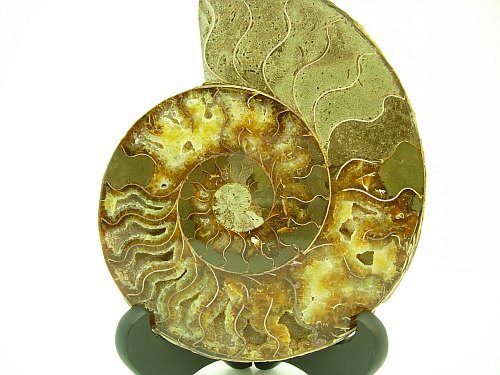 Feng Shui practice using Buddhist mudras